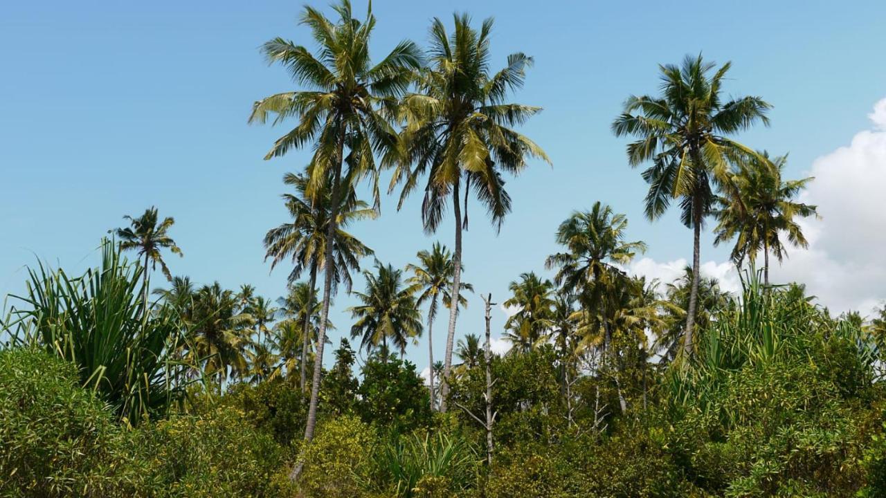 Barefoot Zanzibar Michamvi Exterior foto